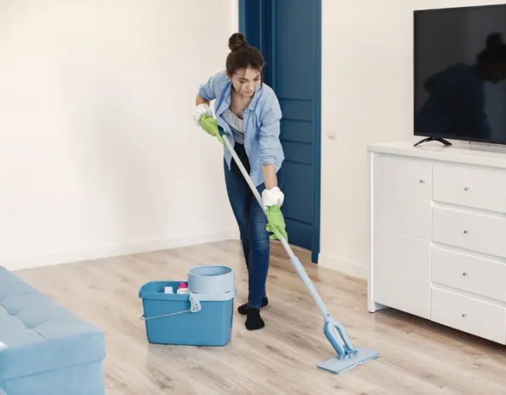 Femme de ménage Rivolet